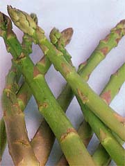 Image of Asparagus