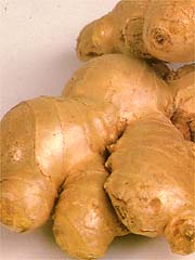 Image of  Ginger