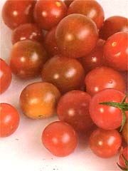 Image of Cherry Tomatoes